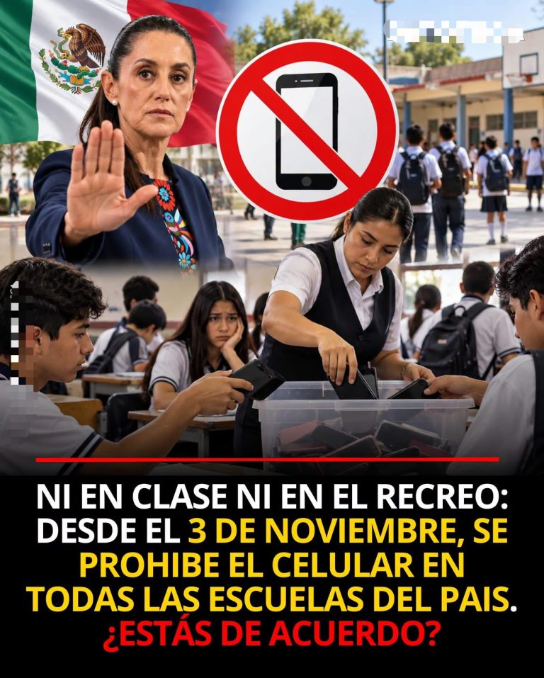 México restringirá el uso de celulares en primaria y secundaria: la medida también alcanzará el recreo