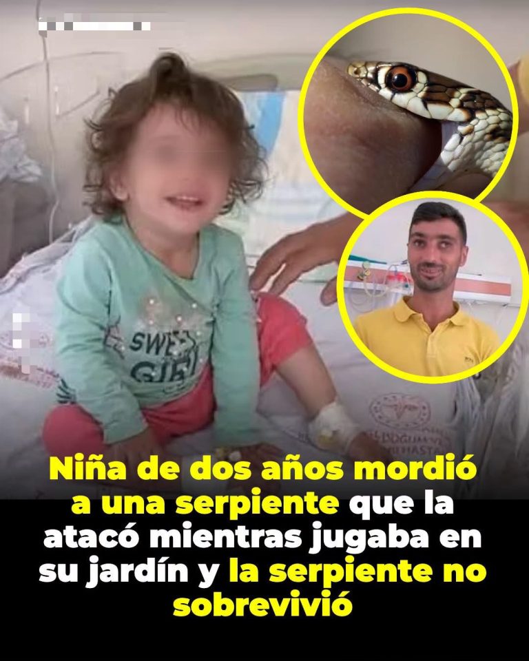 Una niña de dos años mordió a la serpiente que la atacó