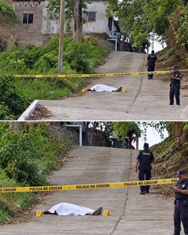 Hallazgo en una vía activa operativo policial y genera preocupación entre residentes