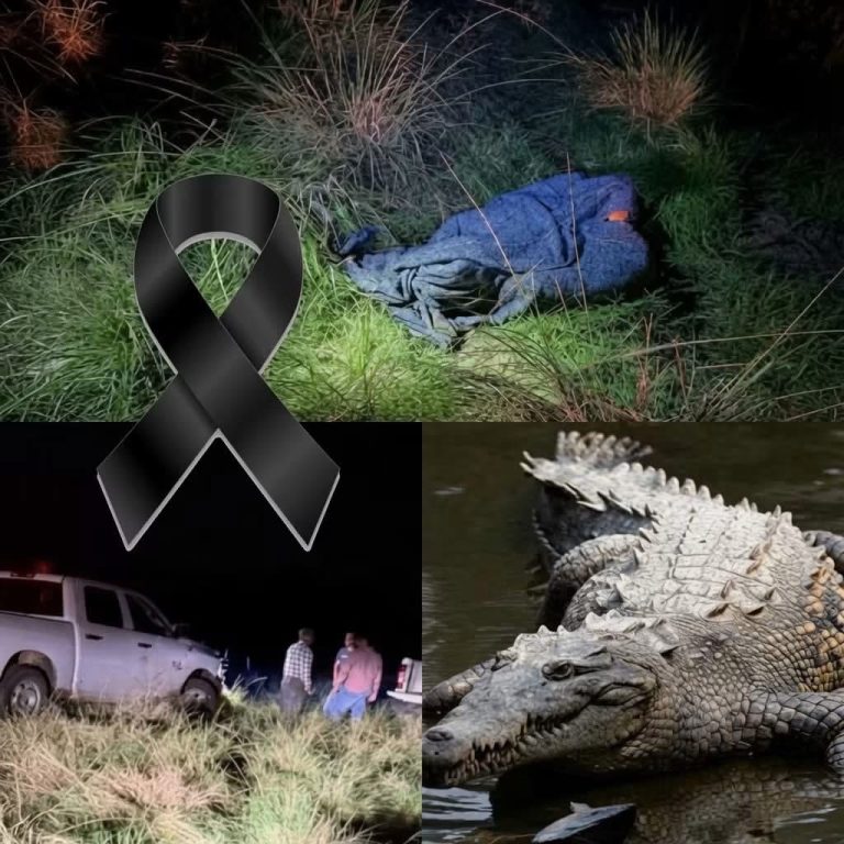 Supuesto ataque de cocodrilo genera conmoción tras difundirse impactantes imágenes del operativo