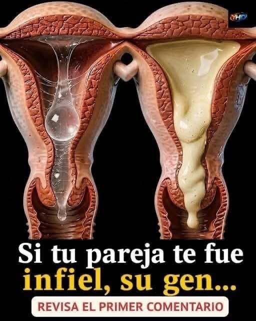 Una persona infiel puede volver a serlo? Lo que conviene saber antes de perdonar