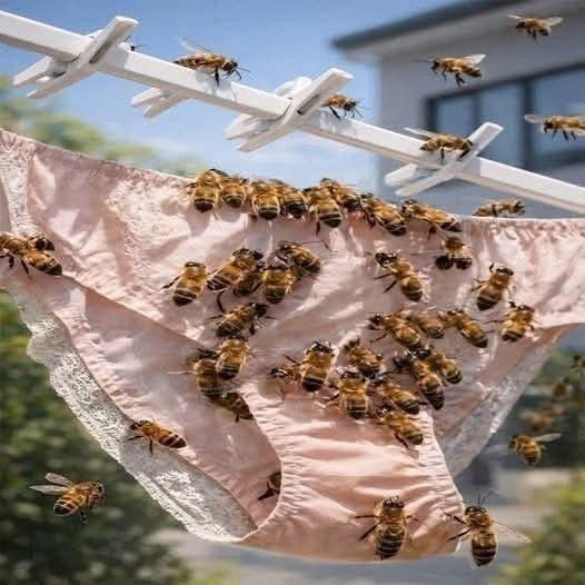 ¿Por qué las abejas pueden posarse sobre la ropa? La explicación es más simple de lo que parece