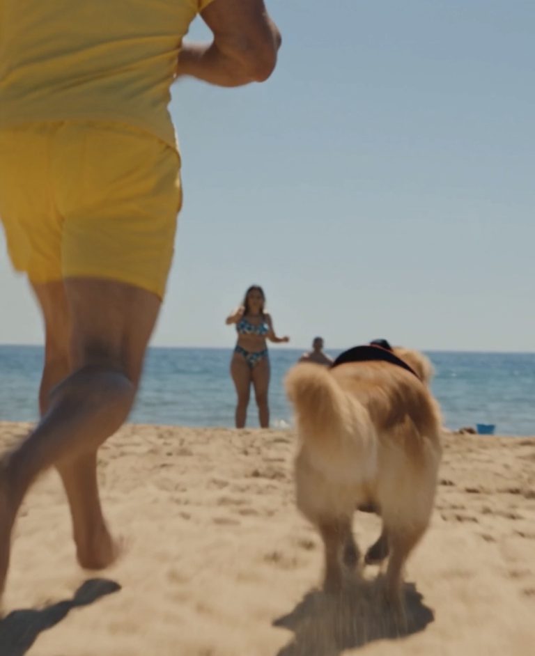 Intentaron Detener al Perro de Rescate Hasta que Descubrieron Qué Había Junto al Niño en el Agua