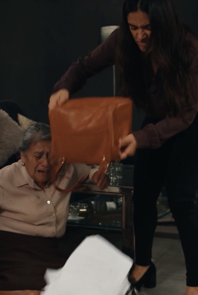 La defensora de la familia: el secreto detrás del dinero
