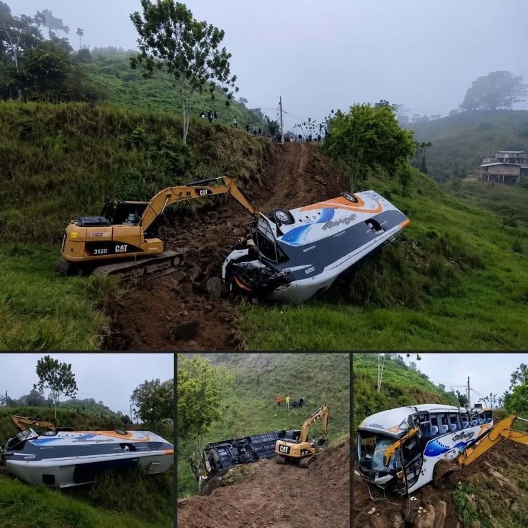 APARATOSO ACCIDENTE DE UN AUTOBÚS EN UNA ZONA MONTAÑOSA GENERA PREOCUPACIÓN… ESTO ES LO QUE SE SABE