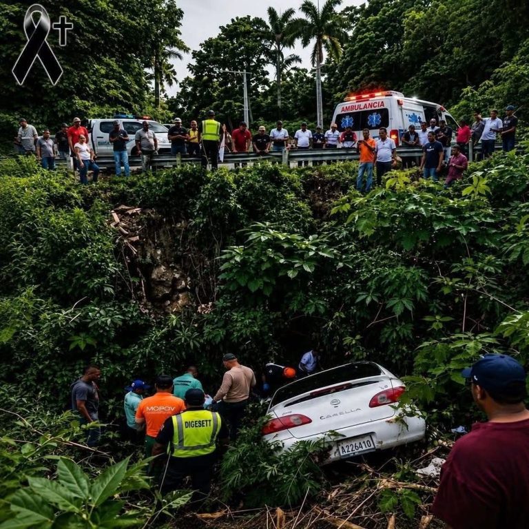 Un vehículo terminó fuera de la carretera y movilizó a los equipos de emergencia: las imágenes generaron preocupación