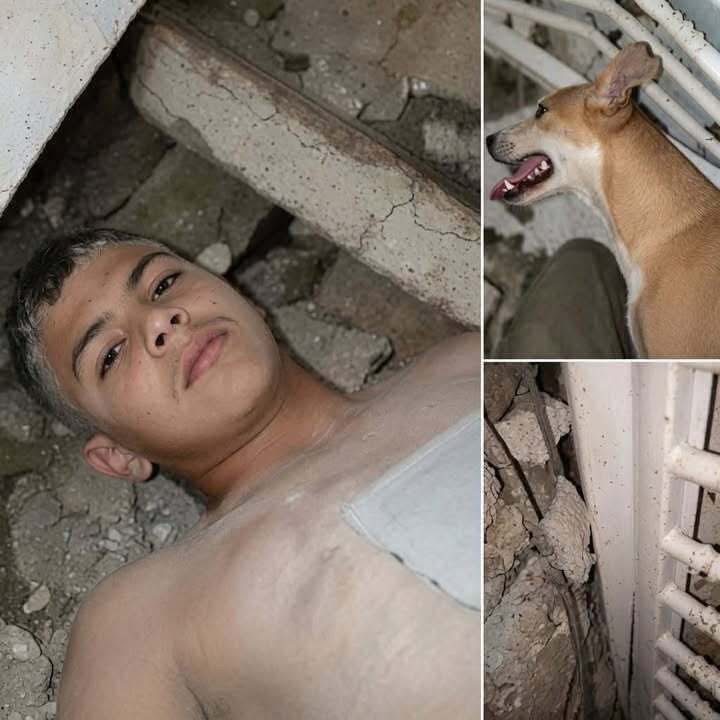 Un supuesto rescate después de 336 horas conmovió a miles, y la presencia de un perro hizo la historia aún más sorprendente