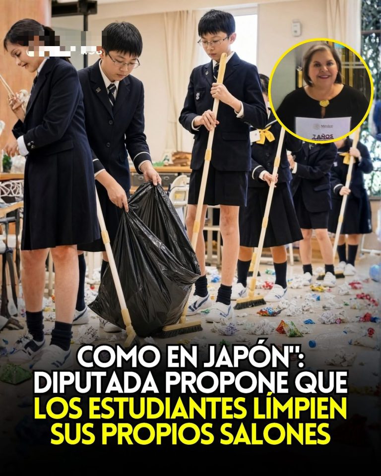 Como en Japón: diputada propone que los alumnos ayuden a limpiar sus propias escuelas