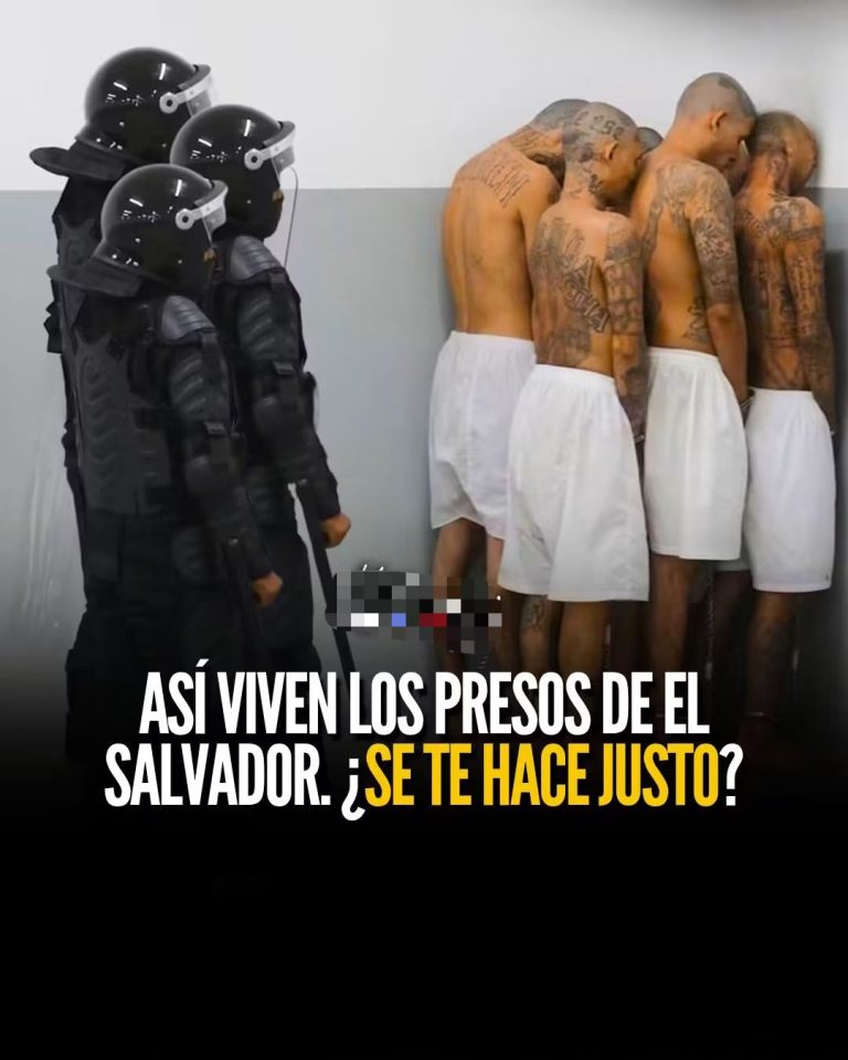 CECOT: sin visitas, sin celulares y con poco acceso al aire libre, el debate sobre la prisión de máxima seguridad de El Salvador
