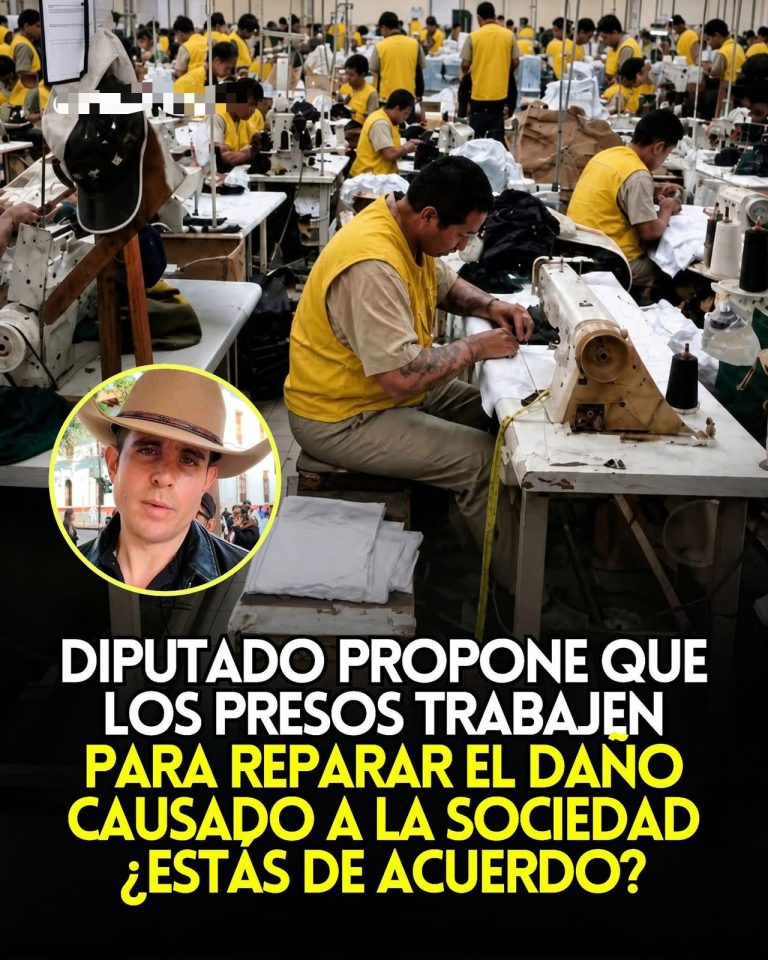 Diputado propone que los presos trabajen durante su condena para contribuir a reparar el daño causado