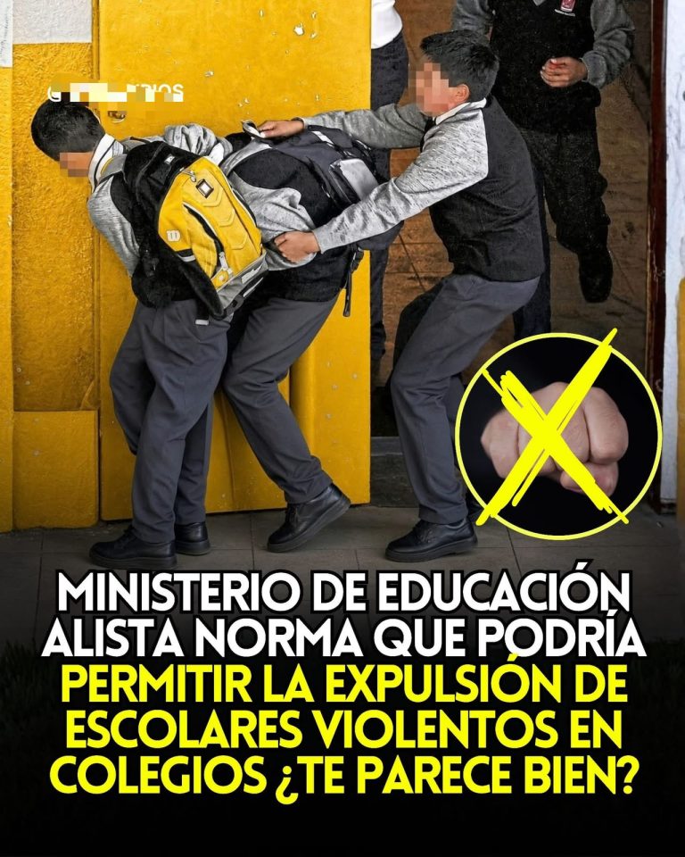 Minedu alista norma que podría permitir sanciones más severas para escolares violentos